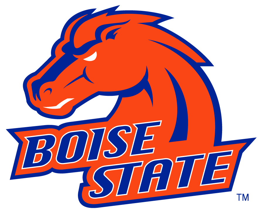 Boise State Broncos 2002-2012 Alternate Logo v3 DIY iron on transfer (heat transfer)